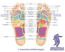 About Reflexology and Reiki. Foot map